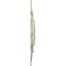 Ekena Millwork Orleans Ceiling Medallion (Fits Canopies up to 8 1/4"), 38 3/8"OD x 6 5/8"ID x 2 7/8"P, Clear Yellow CM38OLCYF - alternate 4